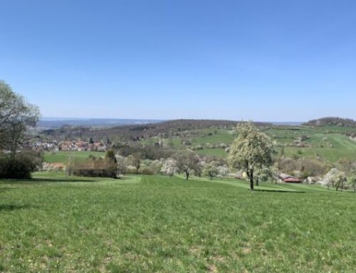 Die Märzsonne lockt uns aus dem Haus